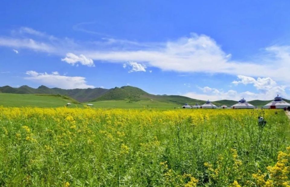 端午出游河北自由行旅游景点惊喜不断