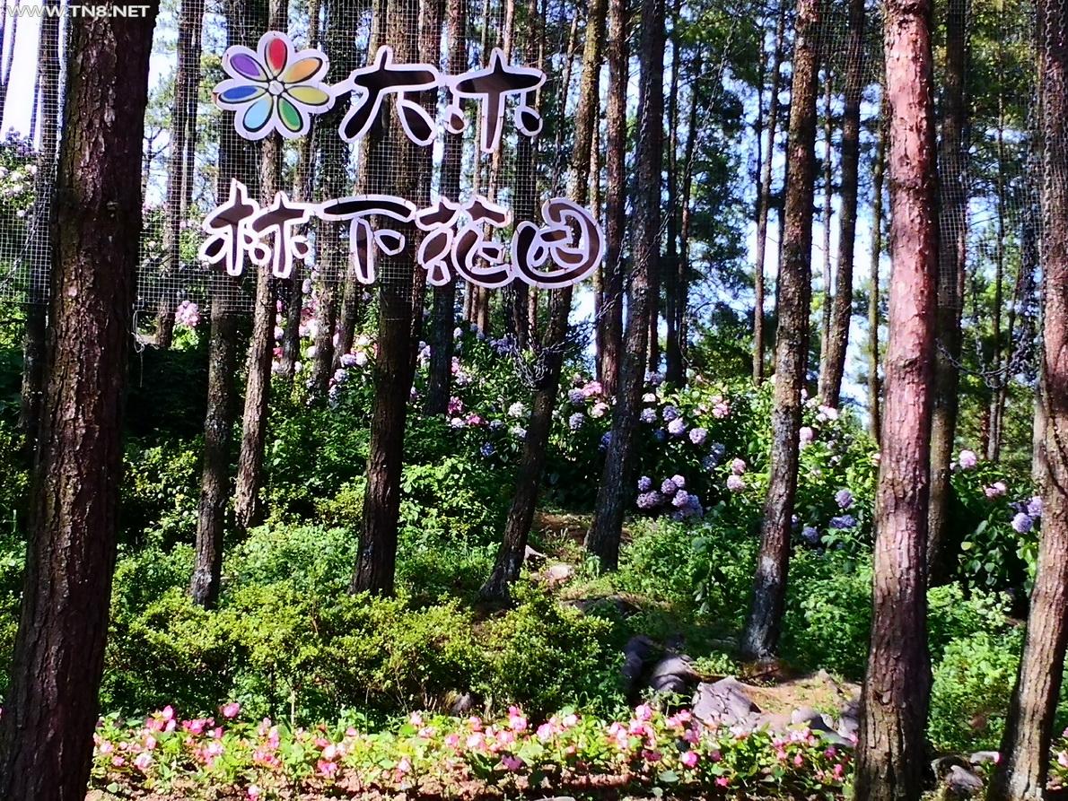 一个来了就想留下来的最美露营基地