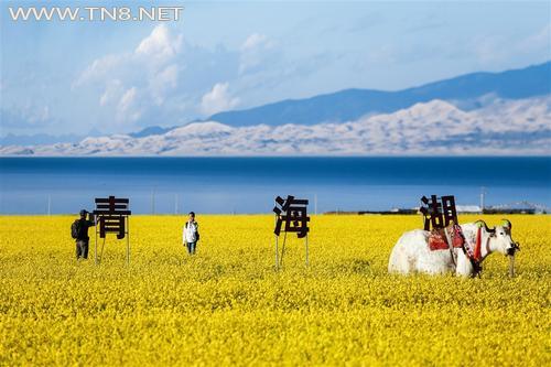 甘肃青海这样旅行一次走完