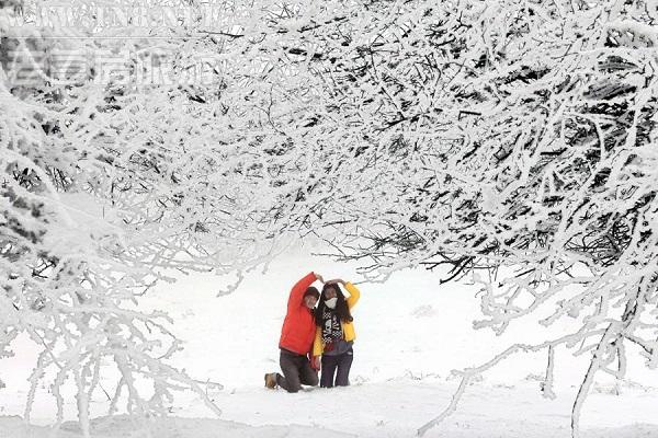 不过，南方虽然大部分地方冬天都不会下雪，但其实也有不少海拔较高的地方冬天是可以欣赏到雪景的，并且风光不输北方。重庆自由行作为重庆专业自由行网站，今天就特地为大家搜罗了重庆周边赏雪佳地，不知看完之后你会翻哪个牌子呢?或者会不会犯选择恐惧症呢?