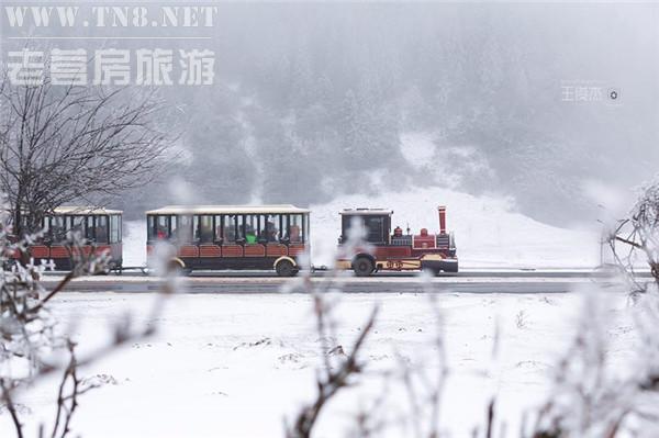 武隆· 仙女山

国家AAAAA级景区，重庆十佳旅游景点。拥有10万亩草原和33万亩森林，雪景俯瞰之下特别壮观。乘坐极具异域风景的观光小火车，穿越在冰雪童话世界，画面超级唯美浪漫。（相关阅读：重庆到武隆怎么走方便、最快?(含多种交通方式)）