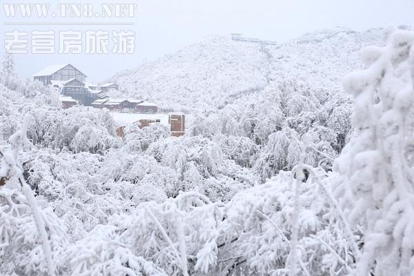 南川 · 金佛山

国家AAAAA级景区，以其生物多样性特点和独特的喀斯特地貌特征被列入世界自然遗产名单。