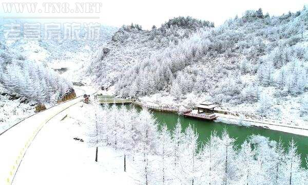 巫溪 · 红池坝

国家AAAA级旅游景区，中国远古“巫文化”、“盐文化”发祥地，还是中国南方第一大高山草场.