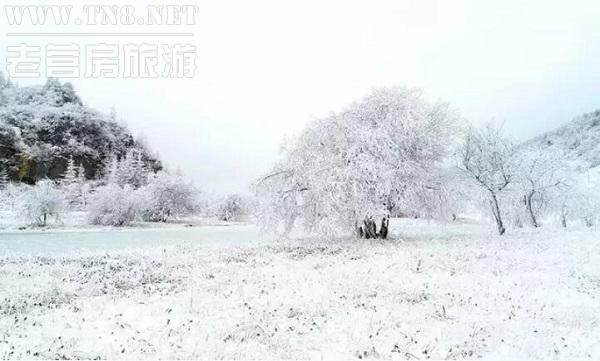 巫溪 · 红池坝

国家AAAA级旅游景区，中国远古“巫文化”、“盐文化”发祥地，还是中国南方第一大高山草场.