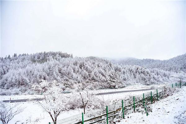 春节去重庆武隆天坑和仙女山滑雪除了自驾还可以选择直通车