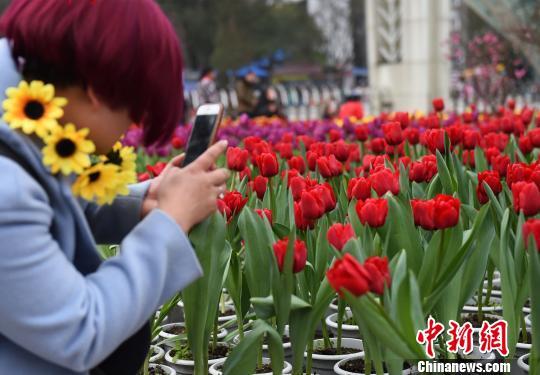 南川植物园