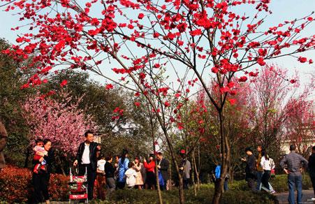 江北鸿恩寺公园