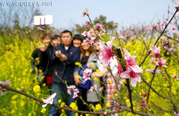 走马观花旅游文化节