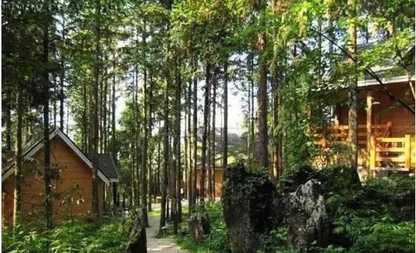 重庆最有情调的8座森林木屋，晚上寂寞空虚冷就去睡它一晚上！