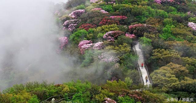 喜迎教师节！ 教师游这些景区统统不要钱