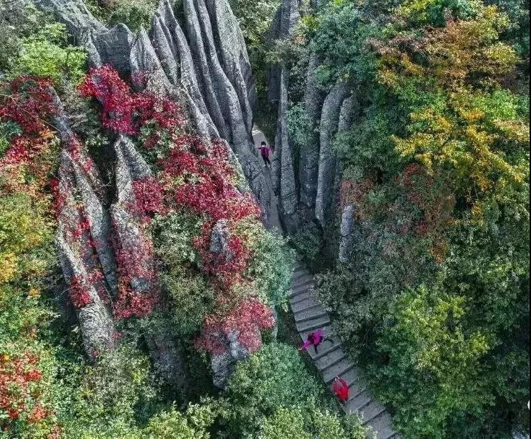 山王坪景区