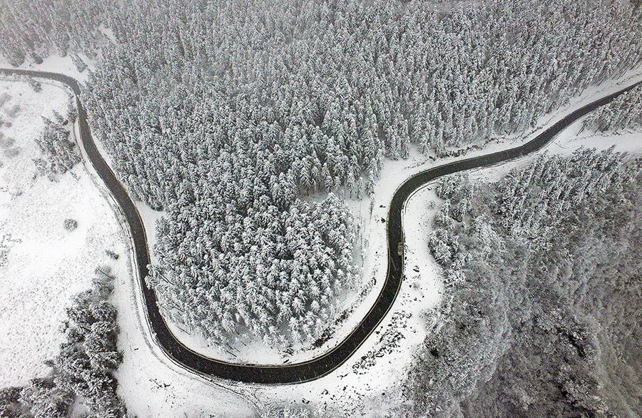 仙女山雪景