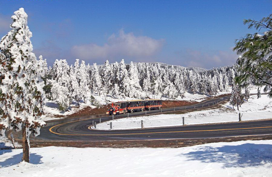 仙女山雪景