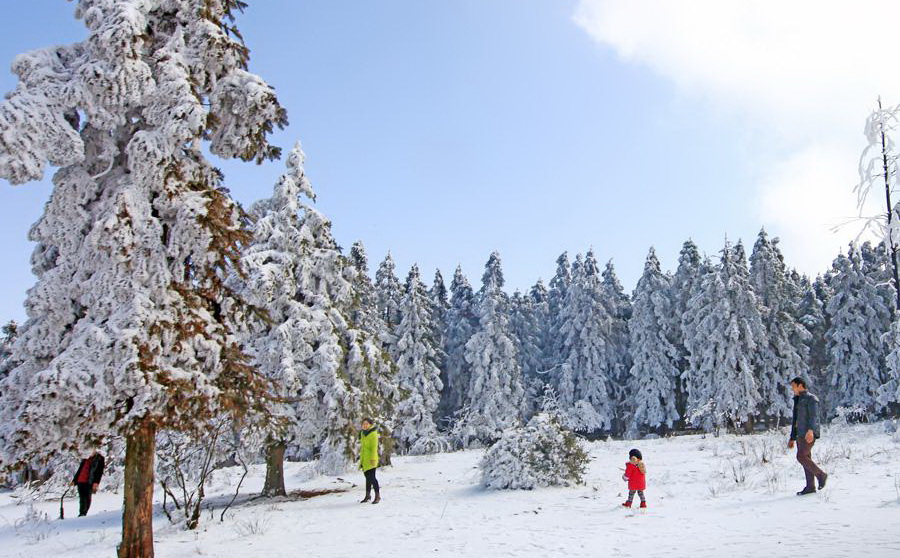 仙女山雪景