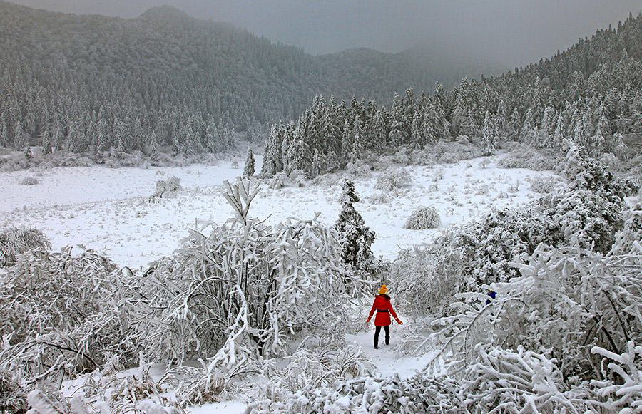 仙女山雪景