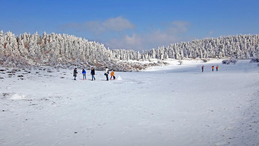 仙女山雪景