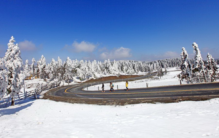 仙女山雪景