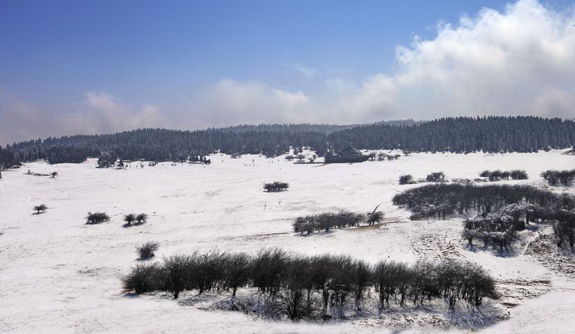 仙女山雪景