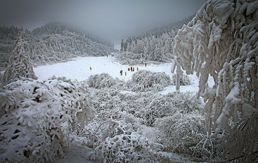 仙女山雪景