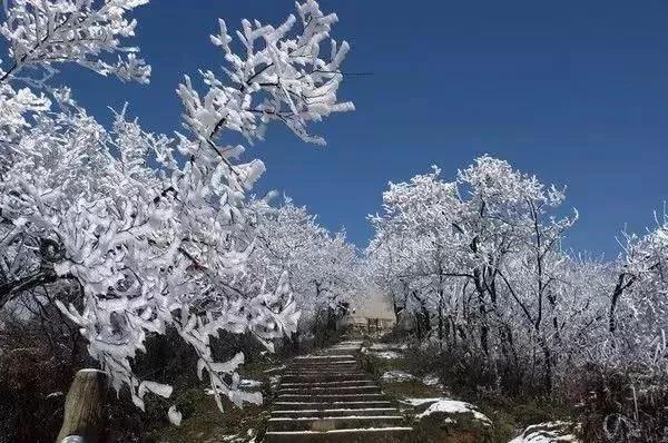 金鼎山，图源网络.jpg