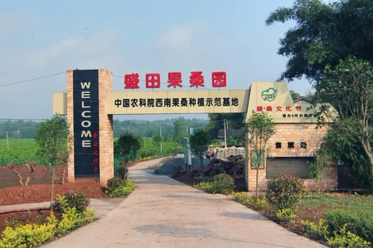 学生陈静1.png