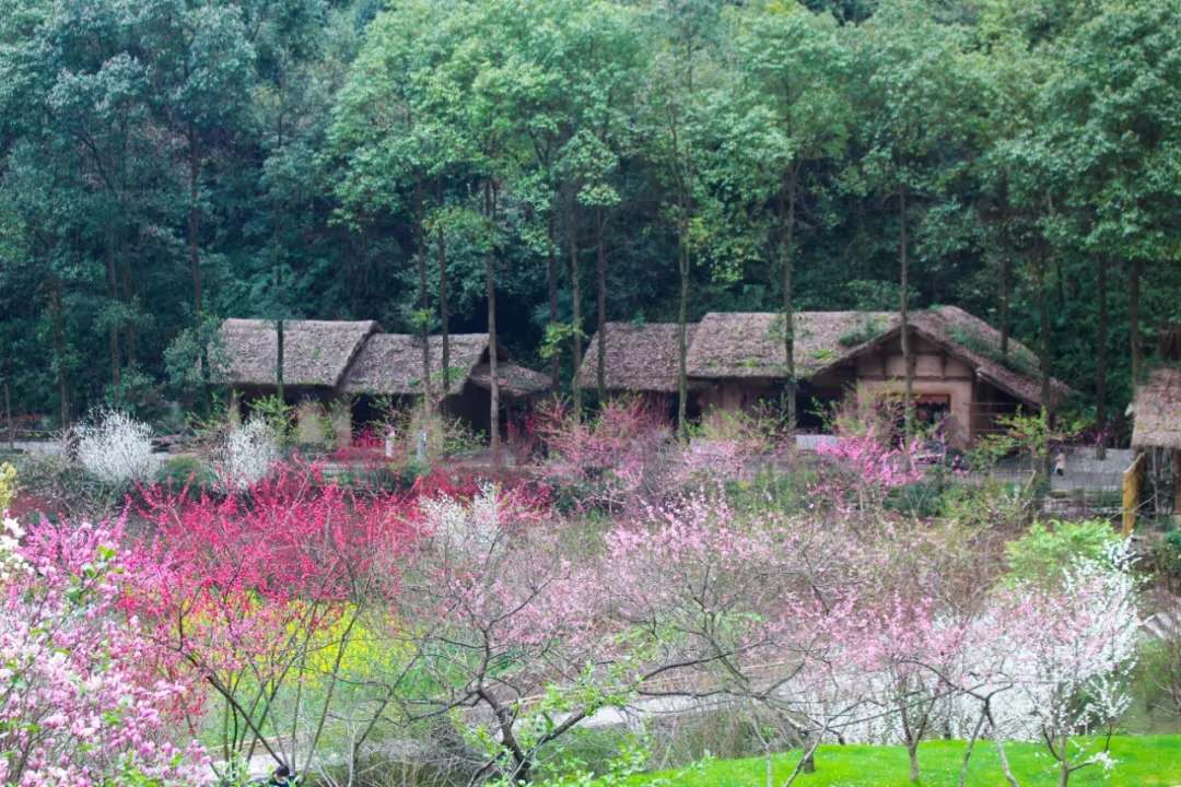微信图片_20200417150209.jpg