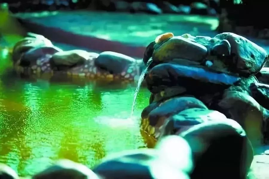 重庆除了南北温泉，金佛山脚下的天星温泉也同样值得一游