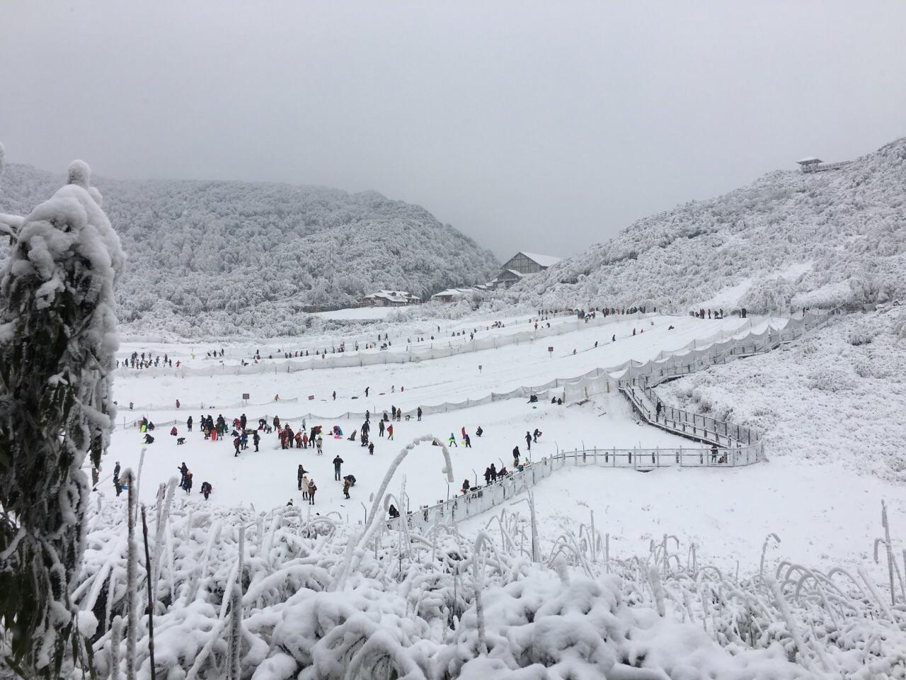 金佛山滑雪场