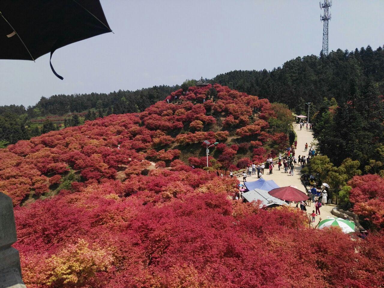 重庆周边这些热门旅游目的地可一站直达