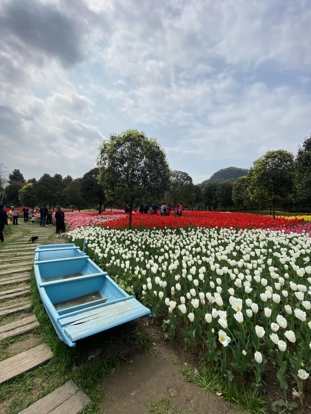 太寺垭公园-来源沙坪坝文旅.jpg