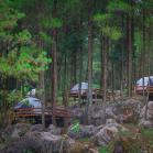 重庆周边避暑游值得推荐的景点和线路