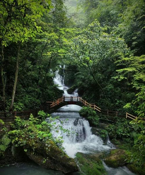 重庆万盛一日探秘：穿越6亿年石林，漫步天然氧吧黑山谷！