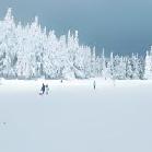 重庆到仙女山景区玩雪直通车一日游攻略